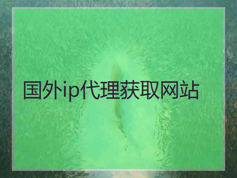 国外ip代理获取网站