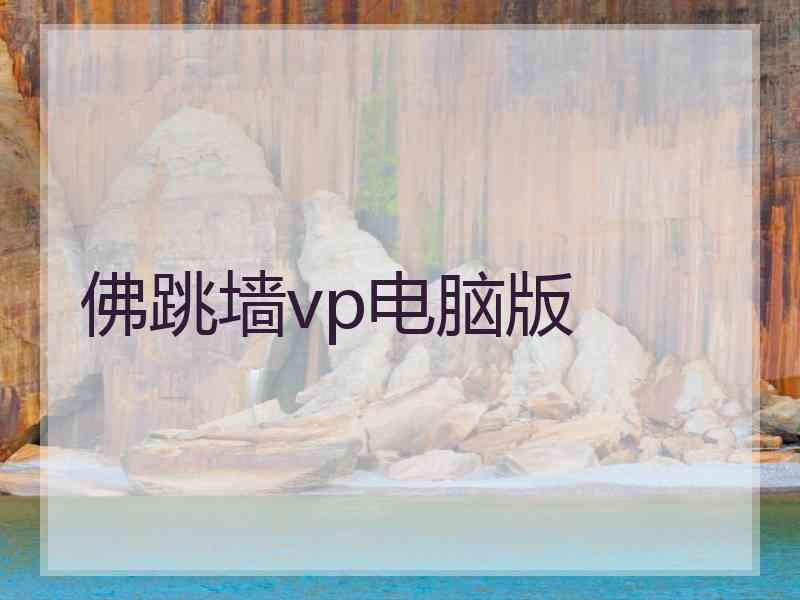佛跳墙vp电脑版